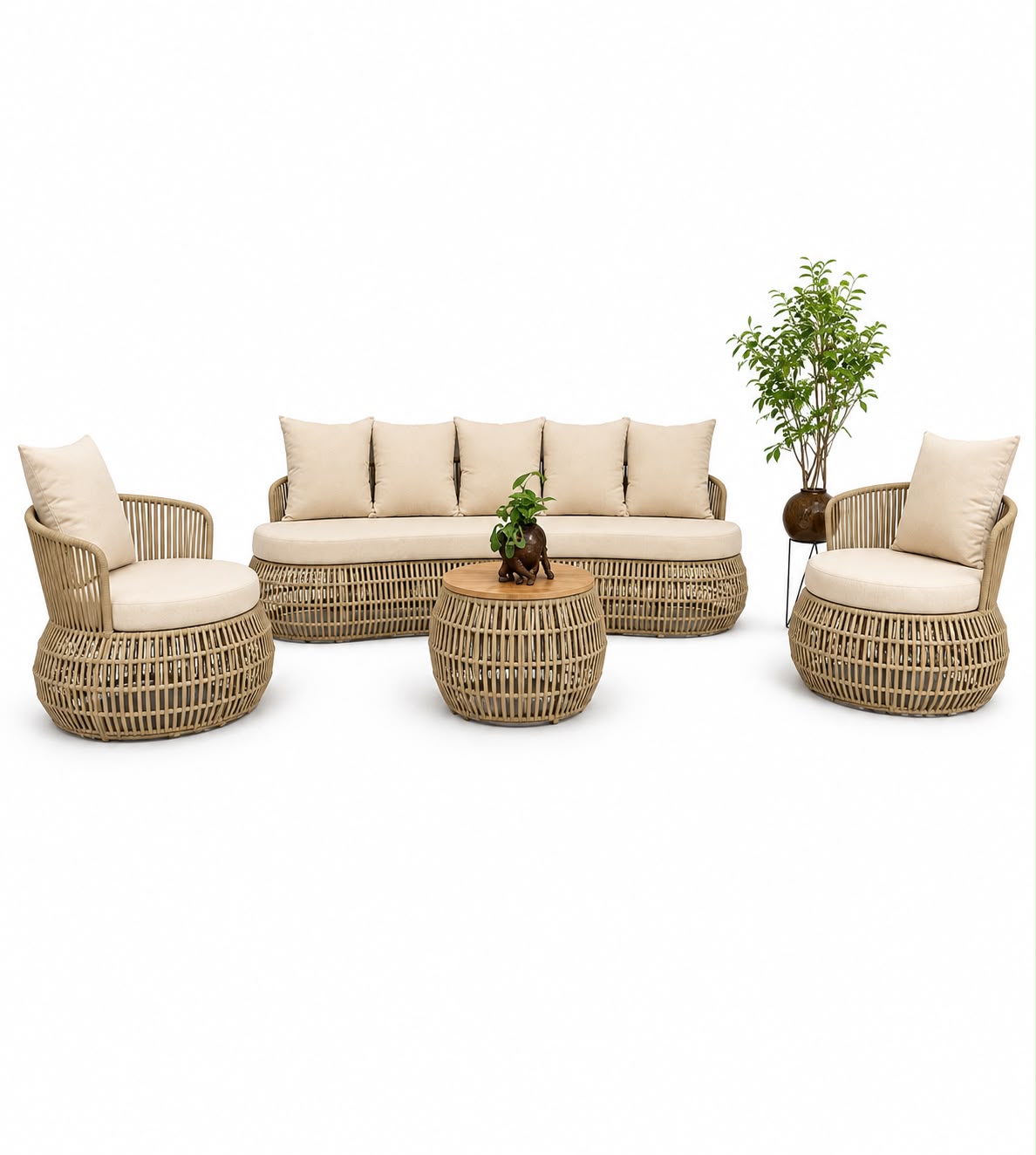 Conjunto Orgânico